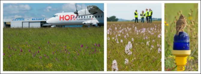 Hop biodiversite