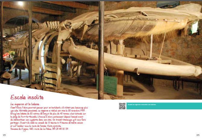 Guide Privat baleine