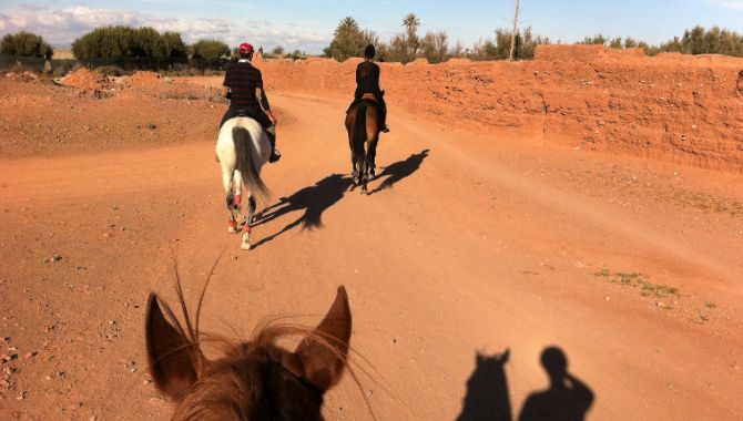 Marrakech Vie en Rose equitation
