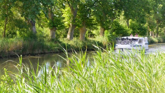 herault-canal-du-midi