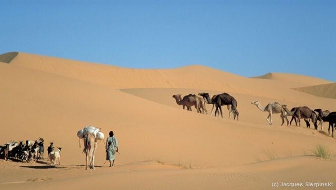Balaguere Mauritanie desert