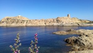Corse Ile de la Pietra