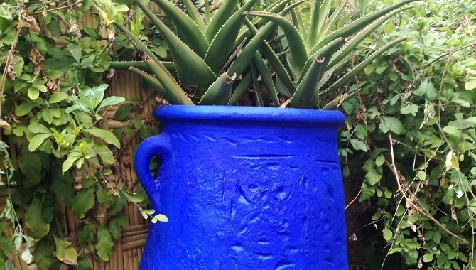 Marrakech Jardin Majorelle