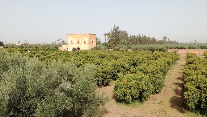 Marrakech jardins Agdal