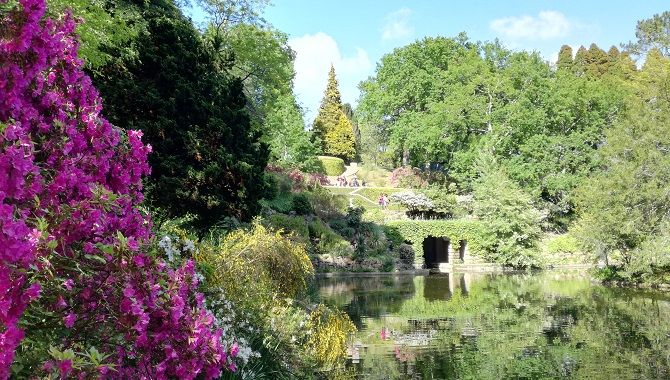 Porto Serralves parc